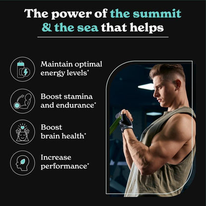 Gold+ Shilajit & Ashwaganda Capsuls